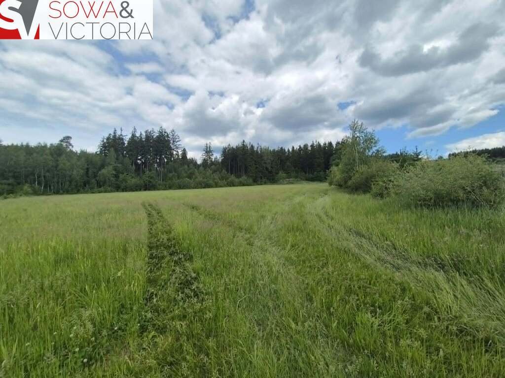 Działki budowlane przy lesie w Borównie. - Widok 3
