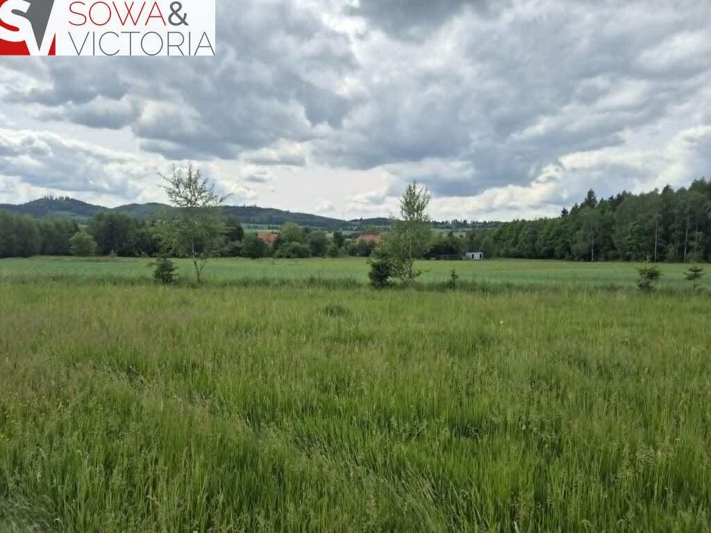 Działki budowlane przy lesie w Borównie. - Widok 4