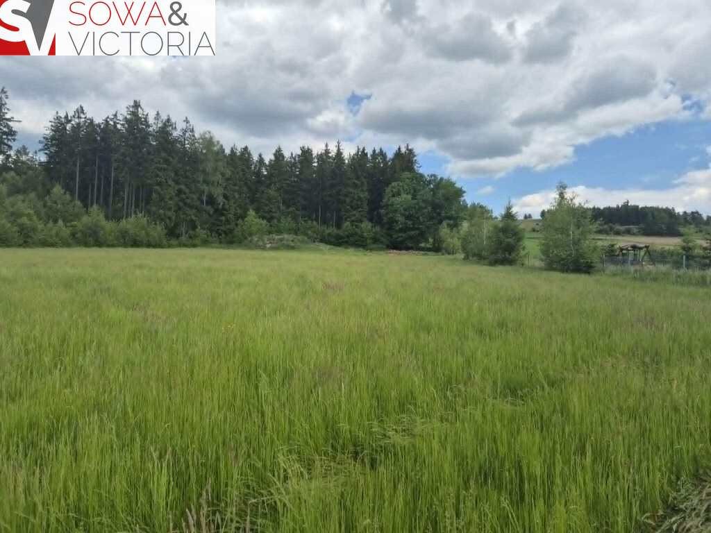Działki budowlane przy lesie w Borównie. - Widok 6