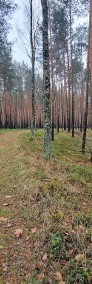 Działka leśna-4