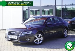 Audi A5 I (8T) 8xALU Skóra Xenon LED Grzane fotele Czujniki Navi GWARANCJA Bezwypad