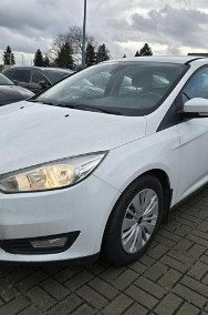 Ford Focus III-2