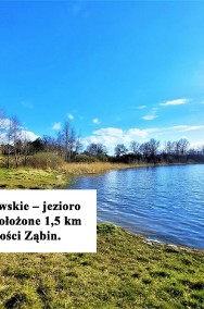 Dziiałka 1,5 km od Jeziora Szczutkowskiego.-2