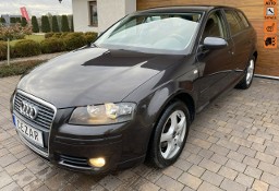 Audi A3 II (8P) 1.6 mpi bezwypadkowa z Niemiec