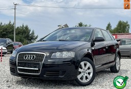 Audi A3 II (8P) 1.6 MPI Climatronic Gwarancja