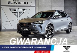 Cupra Formentor VZ 2.0 TSI 4Drive DSG