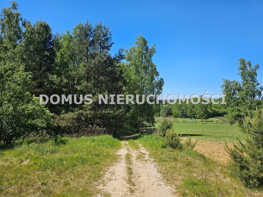 Działka inwestycyjna w Brzezinach - Widok 2