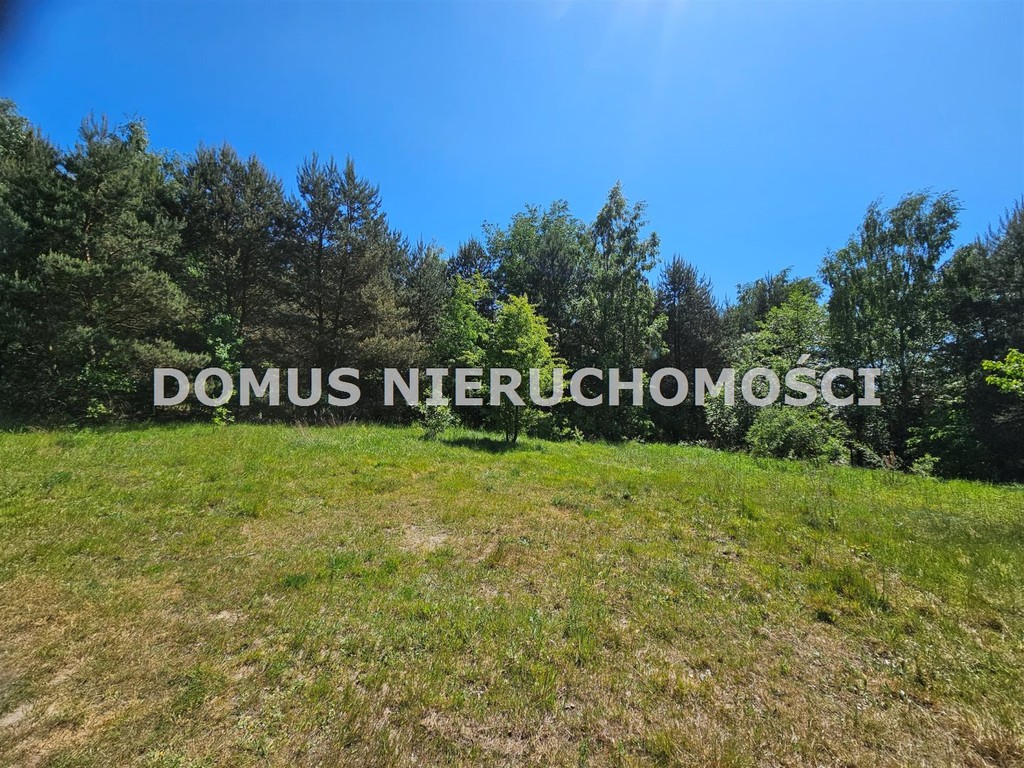 Działka inwestycyjna w Brzezinach - Widok 3
