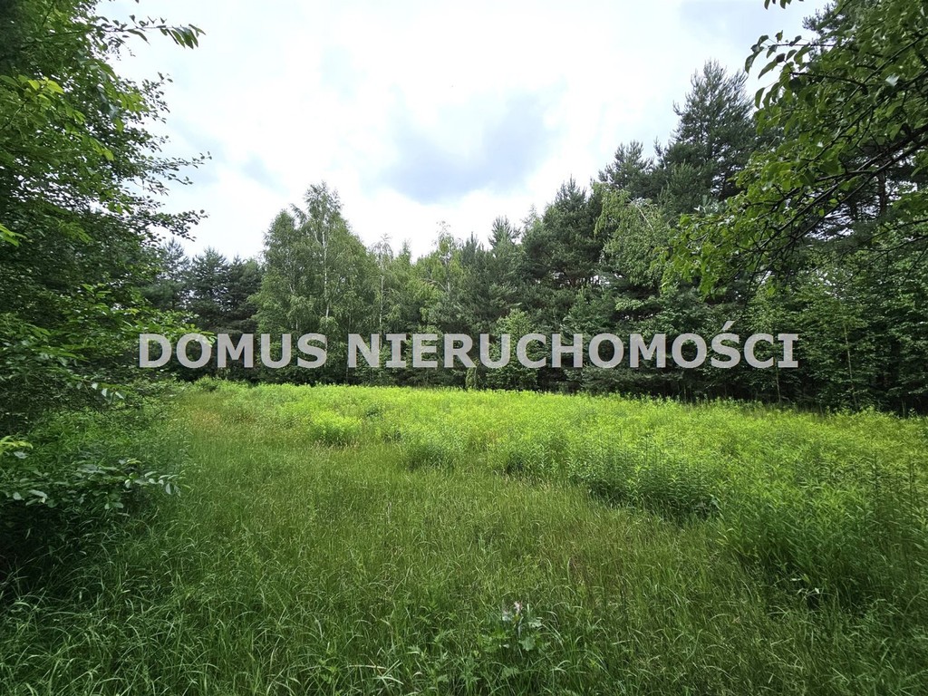 Działka inwestycyjna w Brzezinach - Widok 4