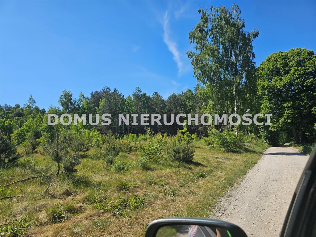 Działka inwestycyjna w Brzezinach - Widok 5