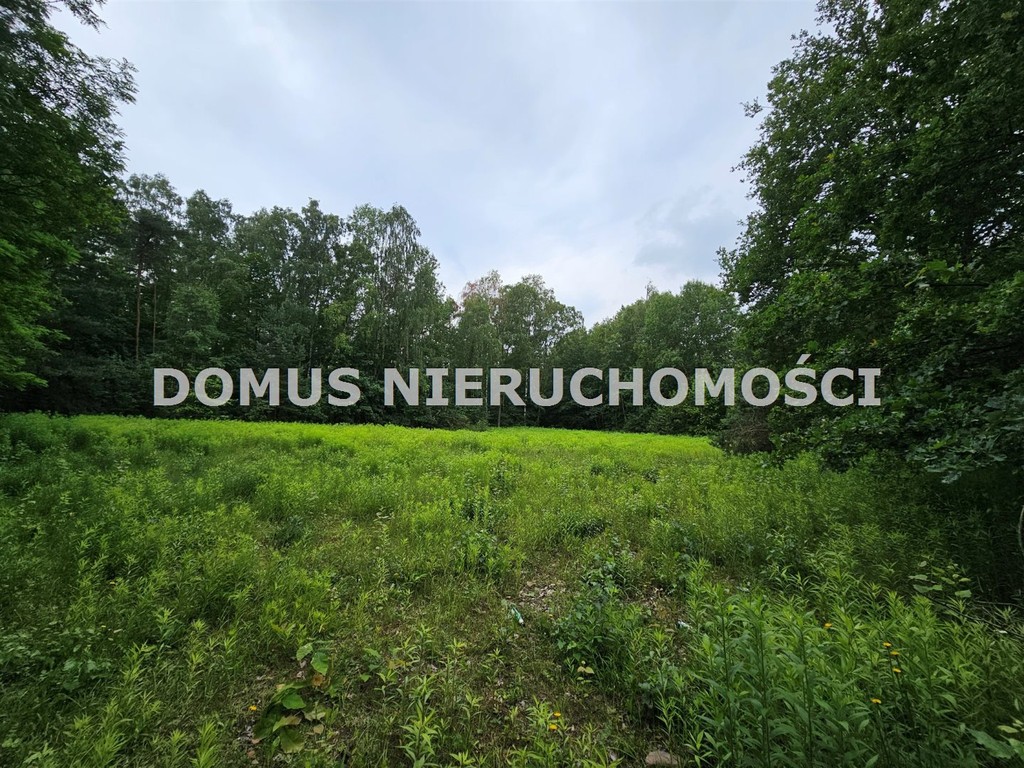 Działka inwestycyjna w Brzezinach - Widok 6