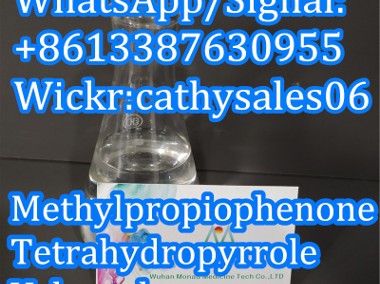 High Purity Methylpropiophenone 4'-Methylpropiophenone with Safety Delivery-1