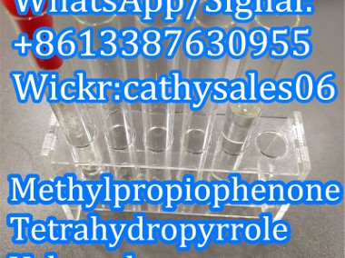 High Purity Methylpropiophenone 4'-Methylpropiophenone with Safety Delivery-2