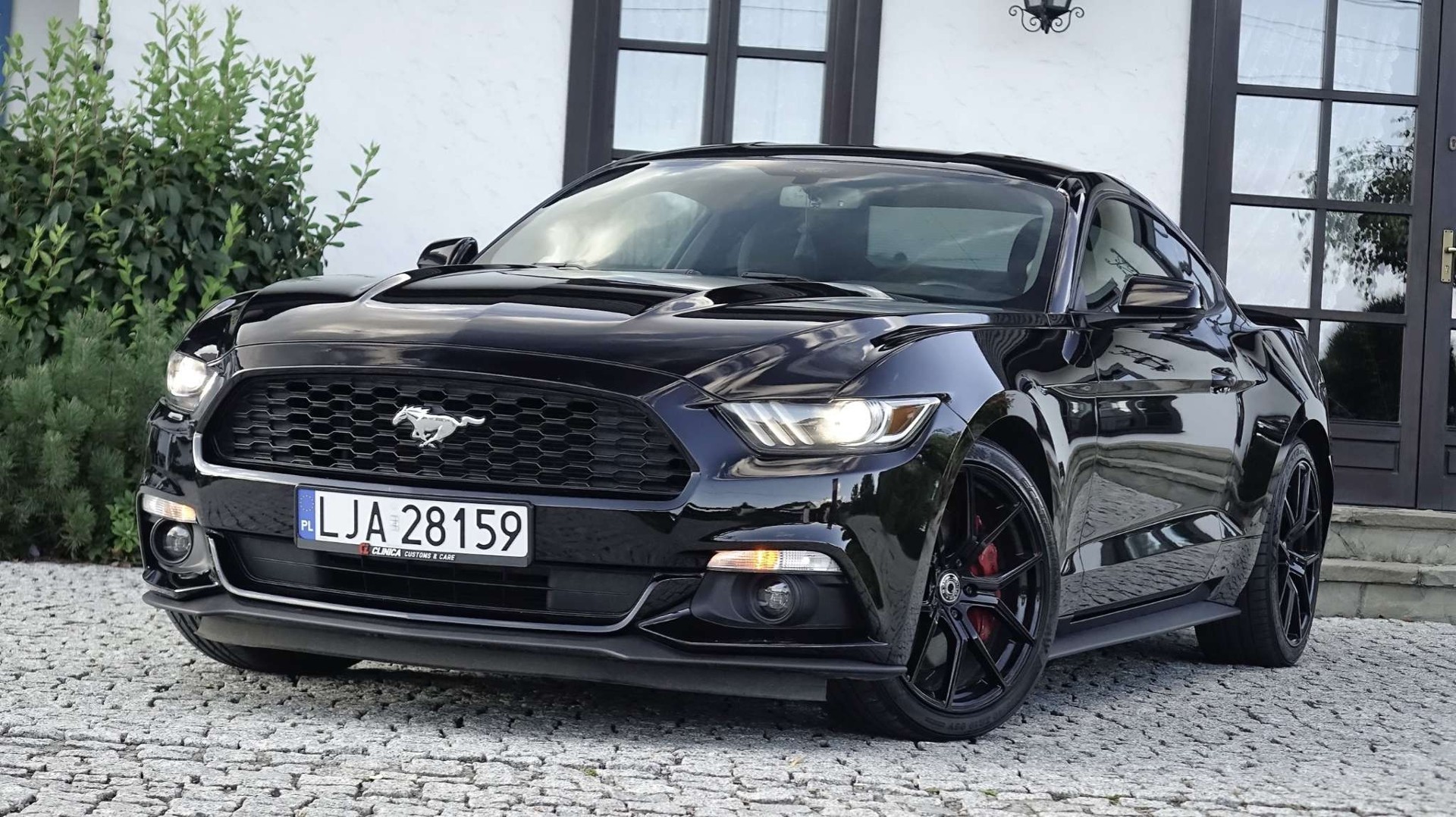 Ford Mustang VI