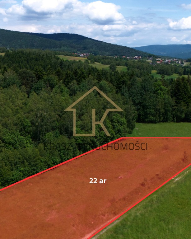 Widokowa działka 2292 m² w Naprawie - Widok 2