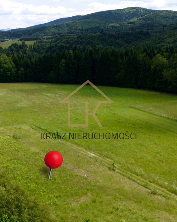 Widokowa działka 2292 m² w Naprawie - Widok 6