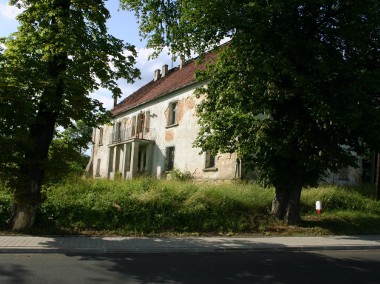 Pałac w Straszowie z XIX w.  teren 25ha-1