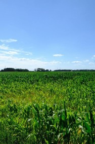 <p>Teresin, MPZP P/U, od 2 do 35 ha</p>-2