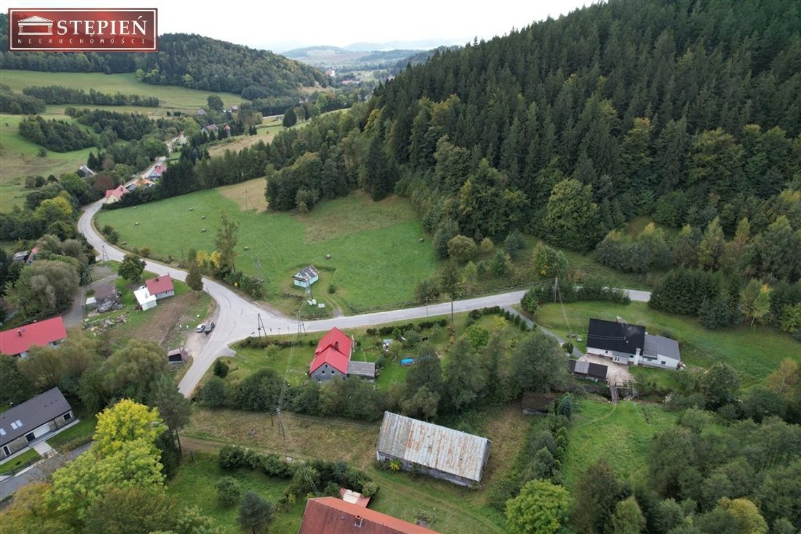 Działka z potencjałem w Rudawach Janowickich - Widok 2