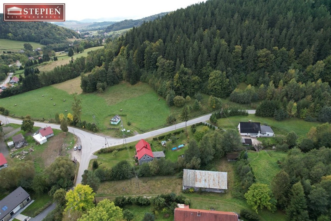 Działka z potencjałem w Rudawach Janowickich - Widok 4