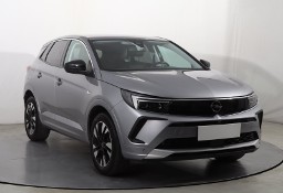 Opel Inny Opel , Salon Polska, 1. Właściciel, Automat, VAT 23%, Skóra, Navi,