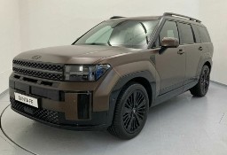 Hyundai Santa Fe III 1.6 T-GDI PHEV Calligraphy 4WD aut 6os. 1.6 T-GDI PHEV Calligraphy 4WD