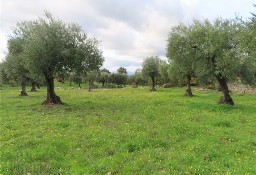 Działka inna Idanha A Nova, Castelo Branco