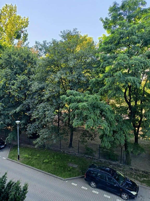 Zadbana kawalerka na 2 piętrze! - Więcej