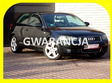 Audi A3 II (8P) BI XENON /Klimatronic /1,6 /MPI /2004-1