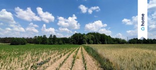 Działka budowlana Zarośle Cienkie