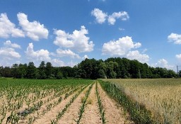 Działka budowlana Zarośle Cienkie