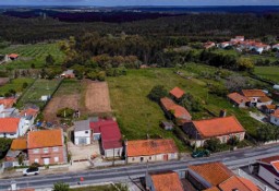 Dom Leiria, Porto De Mós, Juncal