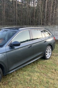 Polski salon 1.4 TSI mHEV (Hybrydowy), o mocy 204 KM.-2