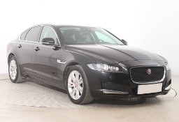 Jaguar XF X260 , Salon Polska, 1. Właściciel, Serwis ASO, 180 KM, Automat,