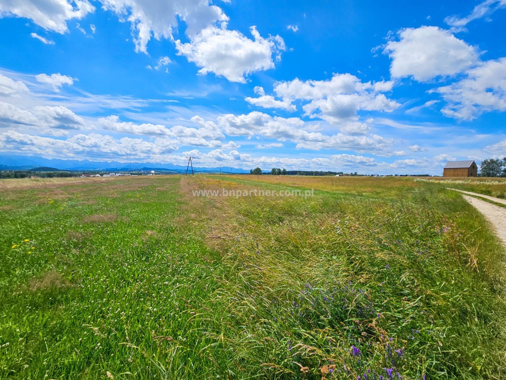 Działka rolna obok obwodnicy, Ostrowsko-Nowy Targ. - Widok 2