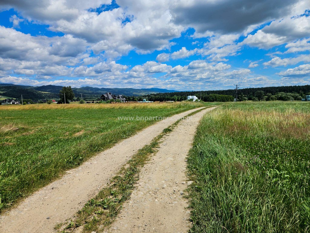Działka rolna obok obwodnicy, Ostrowsko-Nowy Targ. - Widok 3