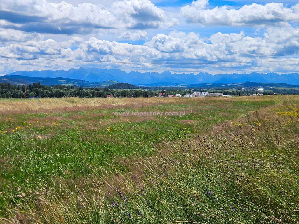 Działka rolna obok obwodnicy, Ostrowsko-Nowy Targ. - Widok 4