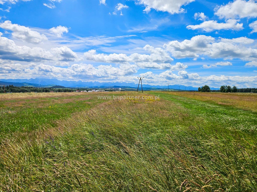 Działka rolna obok obwodnicy, Ostrowsko-Nowy Targ. - Widok 5