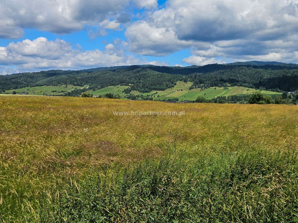 Działka rolna obok obwodnicy, Ostrowsko-Nowy Targ. - Widok 6