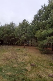 Malownicza i zielona działka leśna - Popowo Borowe-2