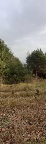 Malownicza i zielona działka leśna - Popowo Borowe-3