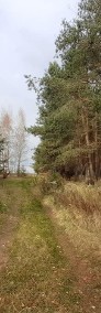 Malownicza i zielona działka leśna - Popowo Borowe-4
