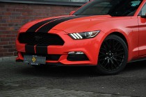 Ford Mustang VI 305KM*Manual*Xenon*Led*Kamera*Alu19*Komp*Temp*Klima*Wydech BORLA !!!