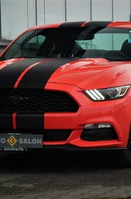 Ford Mustang VI 305KM*Manual*Xenon*Led*Kamera*Alu19*Komp*Temp*Klima*Wydech BORLA !!!-2