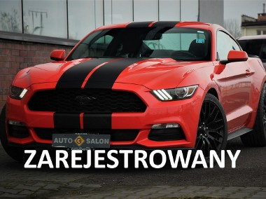 Ford Mustang VI 305KM*Manual*Xenon*Led*Kamera*Alu19*Komp*Temp*Klima*Wydech BORLA !!!-1