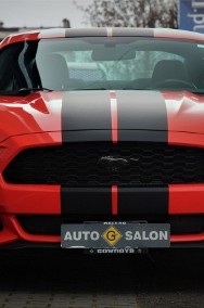 Ford Mustang VI 305KM*Manual*Xenon*Led*Kamera*Alu19*Komp*Temp*Klima*Wydech BORLA !!!-2