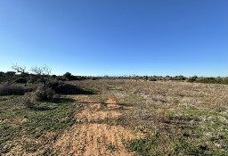 Lokal Balears (Illes)