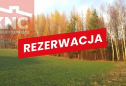 Działka leśna Łękawica