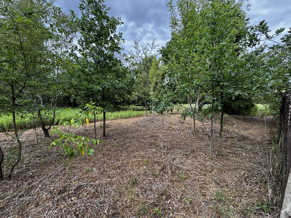 Działka budowlana Borzęcin Duży - Widok 3