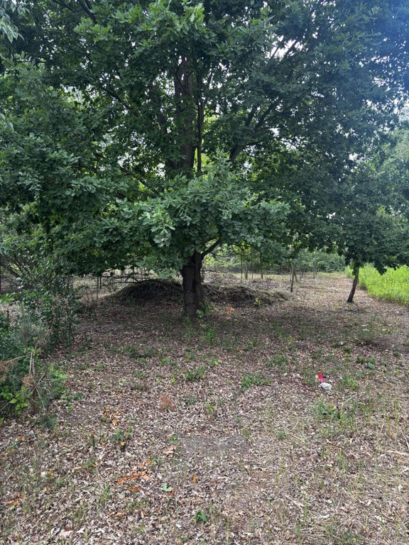 Działka budowlana Borzęcin Duży - Widok 5